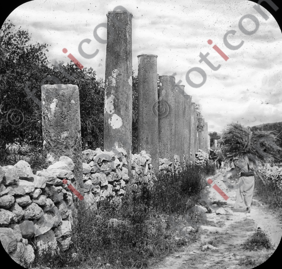 Säulenreihe | Row of columns (foticon-simon-heiligesland-54-055-sw.jpg)